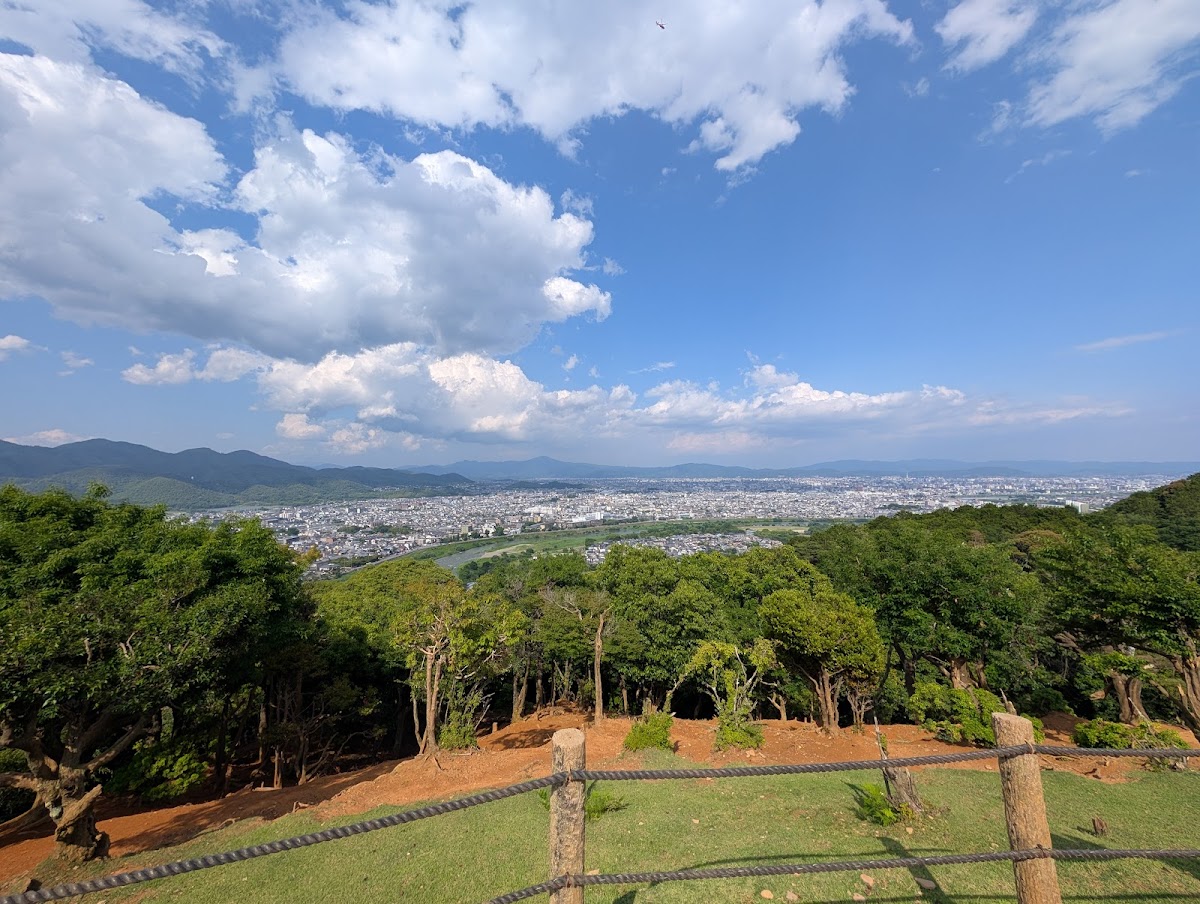 Arashiyama Monkey Park Iwatayama 3