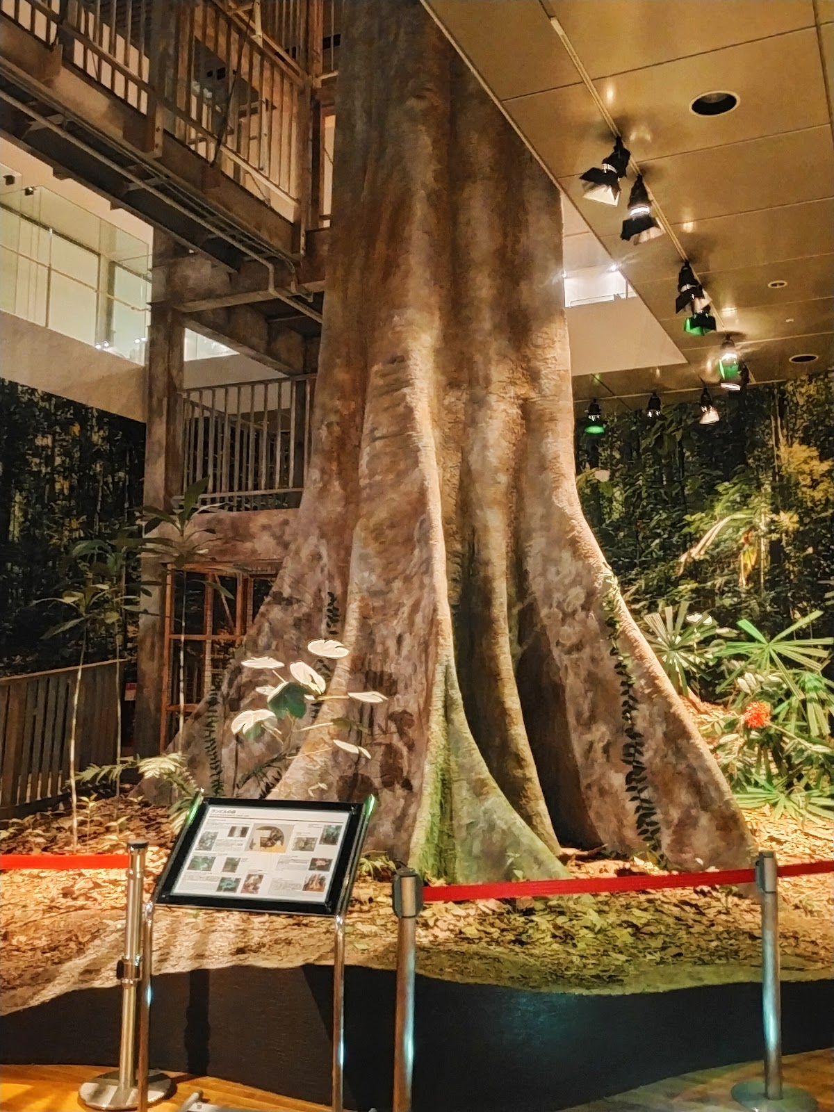 Kyoto University Museum 3