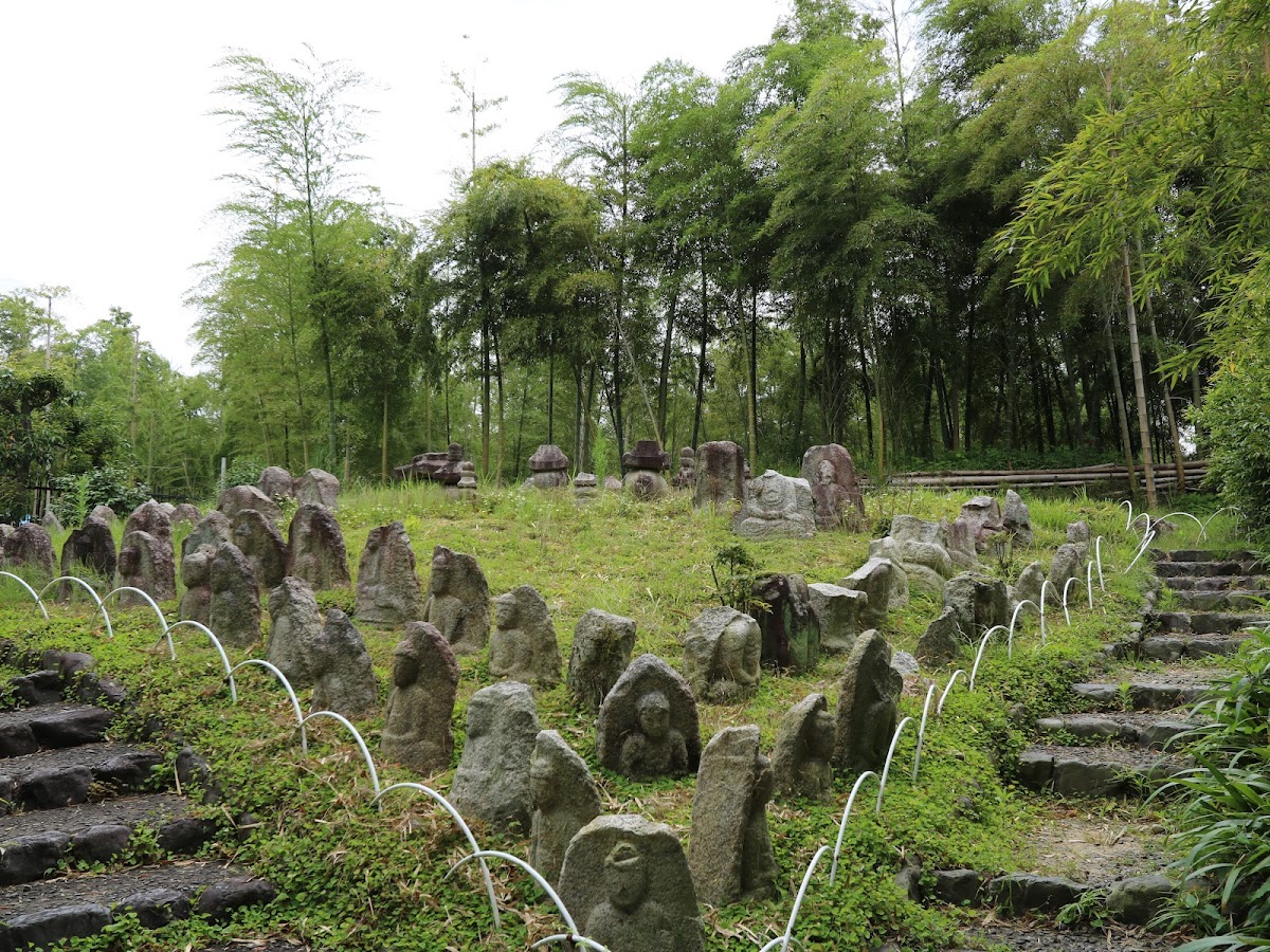 Kyoto City Rakusai Bamboo Park 3