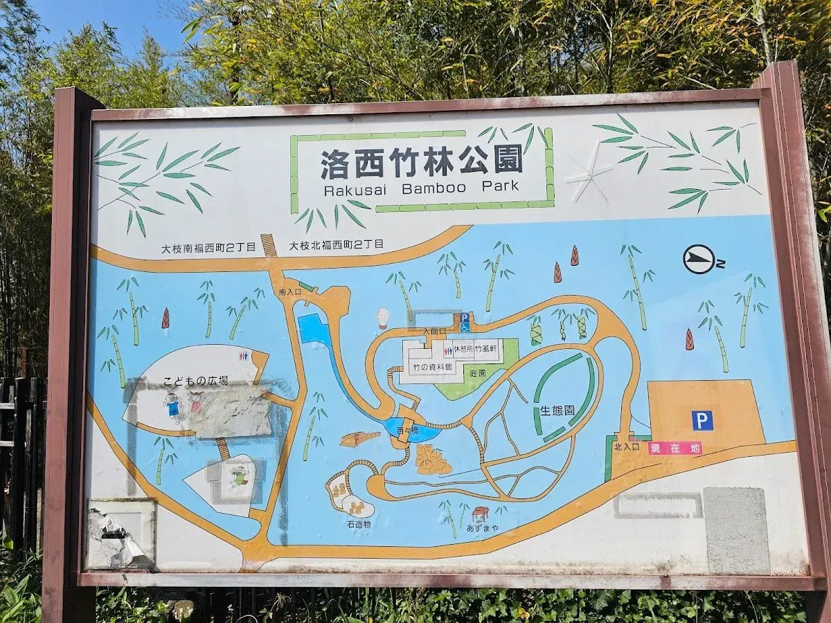 Kyoto City Rakusai Bamboo Park 4