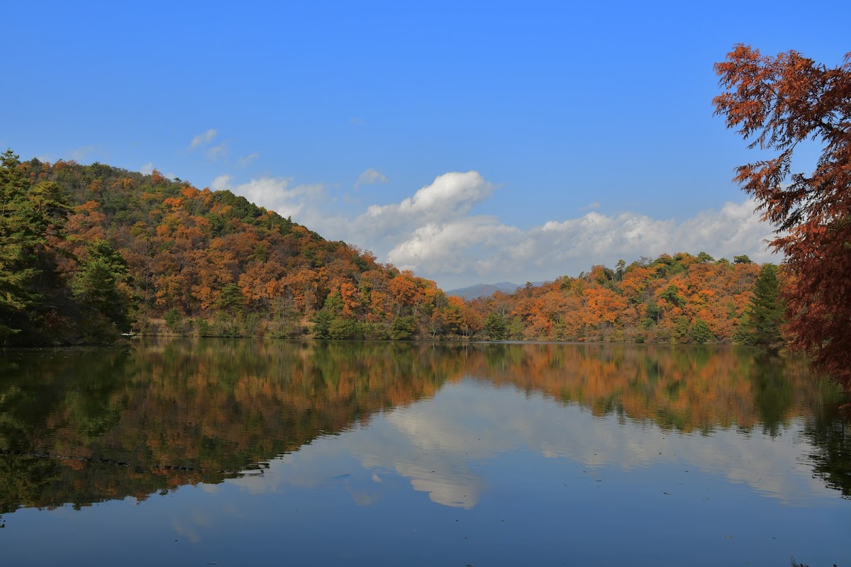 Takaragaike Pond