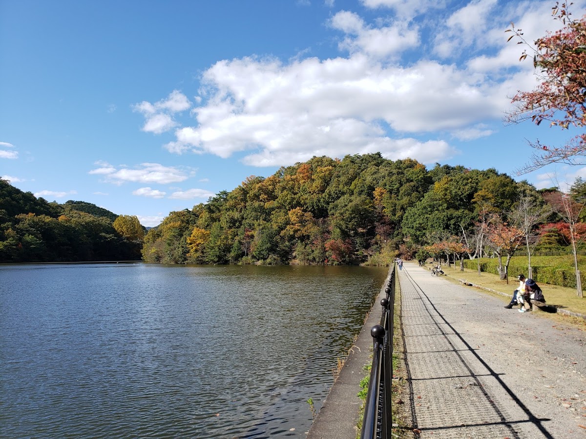 Takaragaike Pond 3