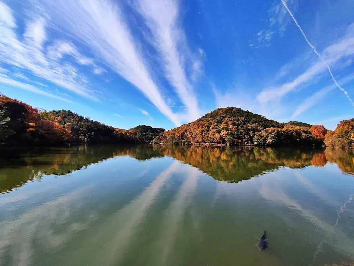 Takaragaike Pond 4