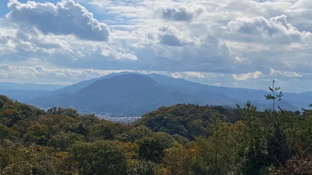 Mt. Myojin Nature observation deck