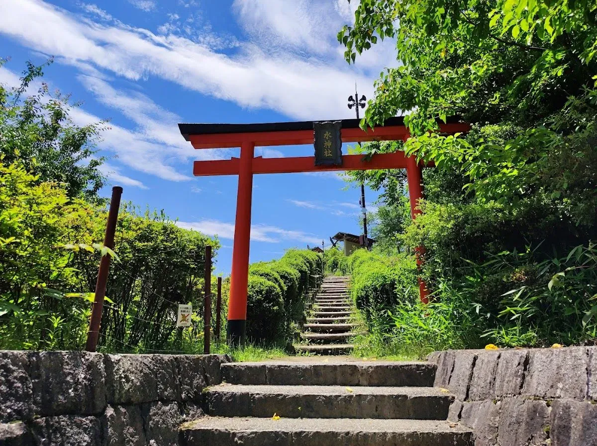 Mt. Myojin Nature observation deck 4