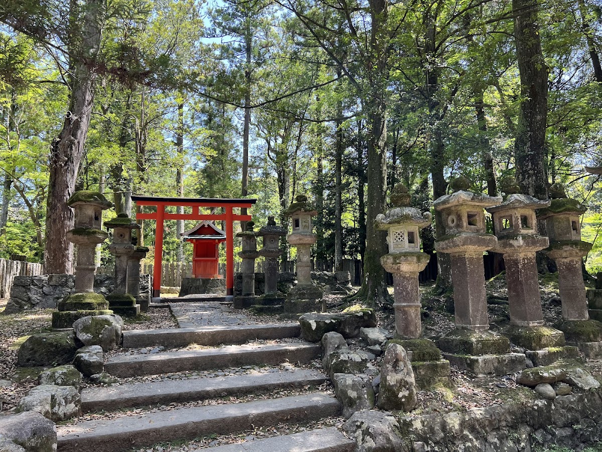Kasugataisha Shrine 4
