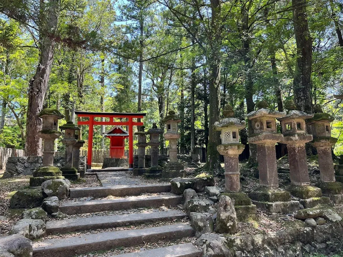 Kasugataisha Shrine 4
