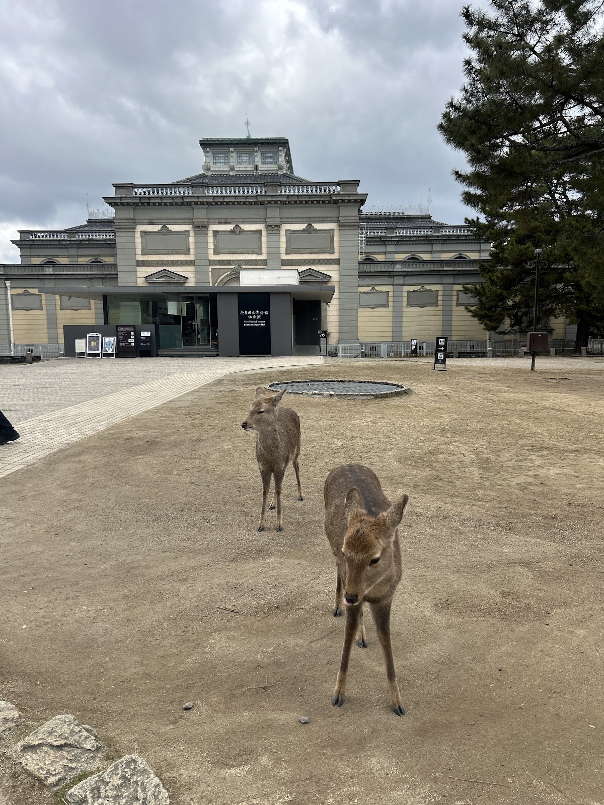 Nara National Museum Buddhist Art Library 4