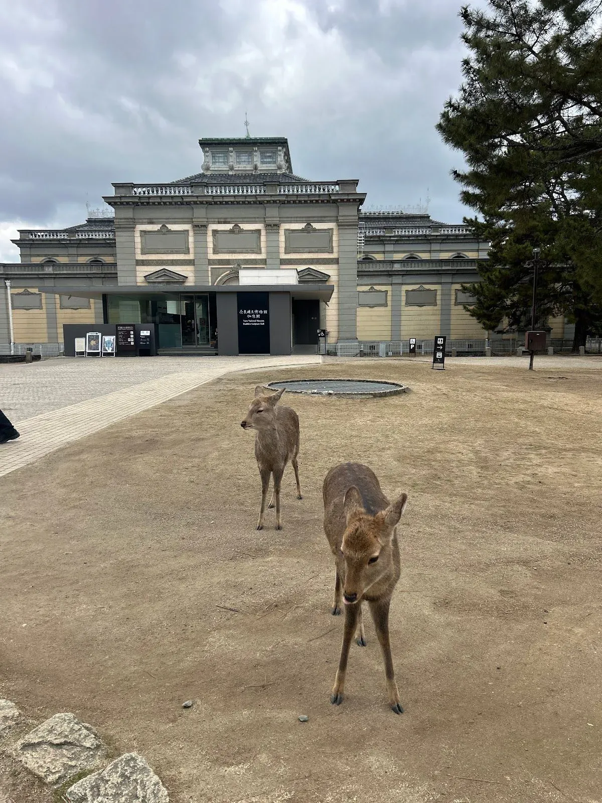 Nara National Museum Buddhist Art Library 4
