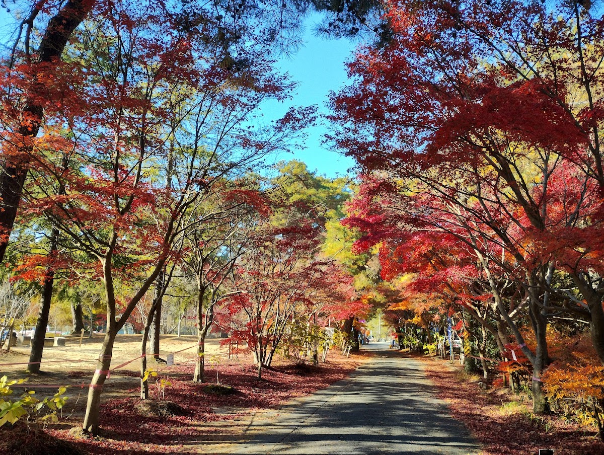Kurondo Nature Park 4