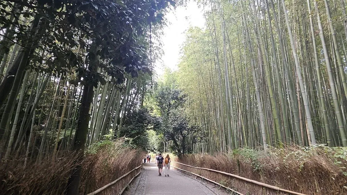 Arashiyama 4