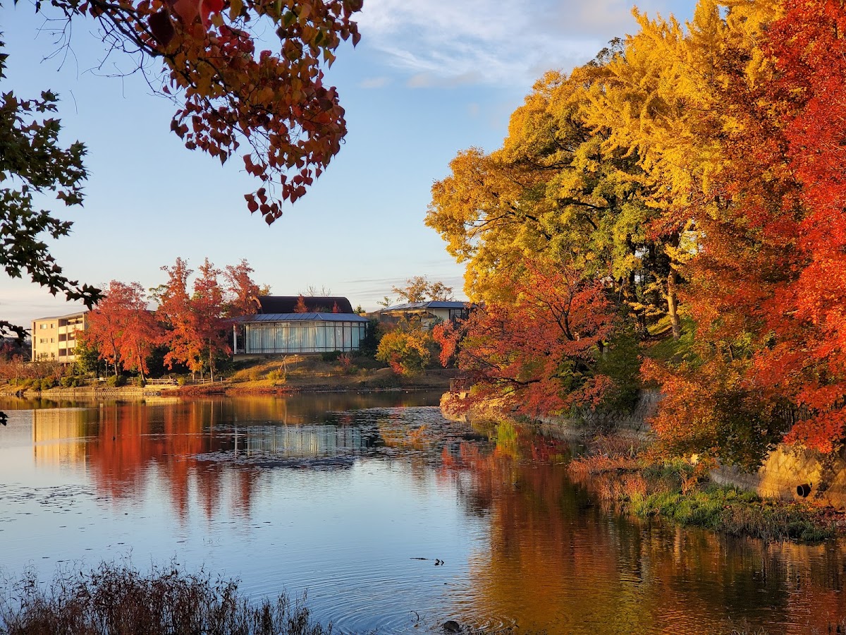 Irodorinomori Park