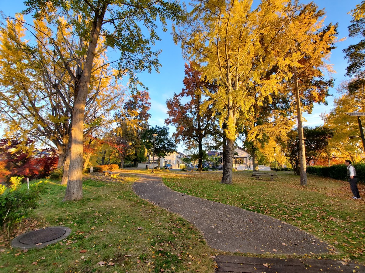 Irodorinomori Park 2