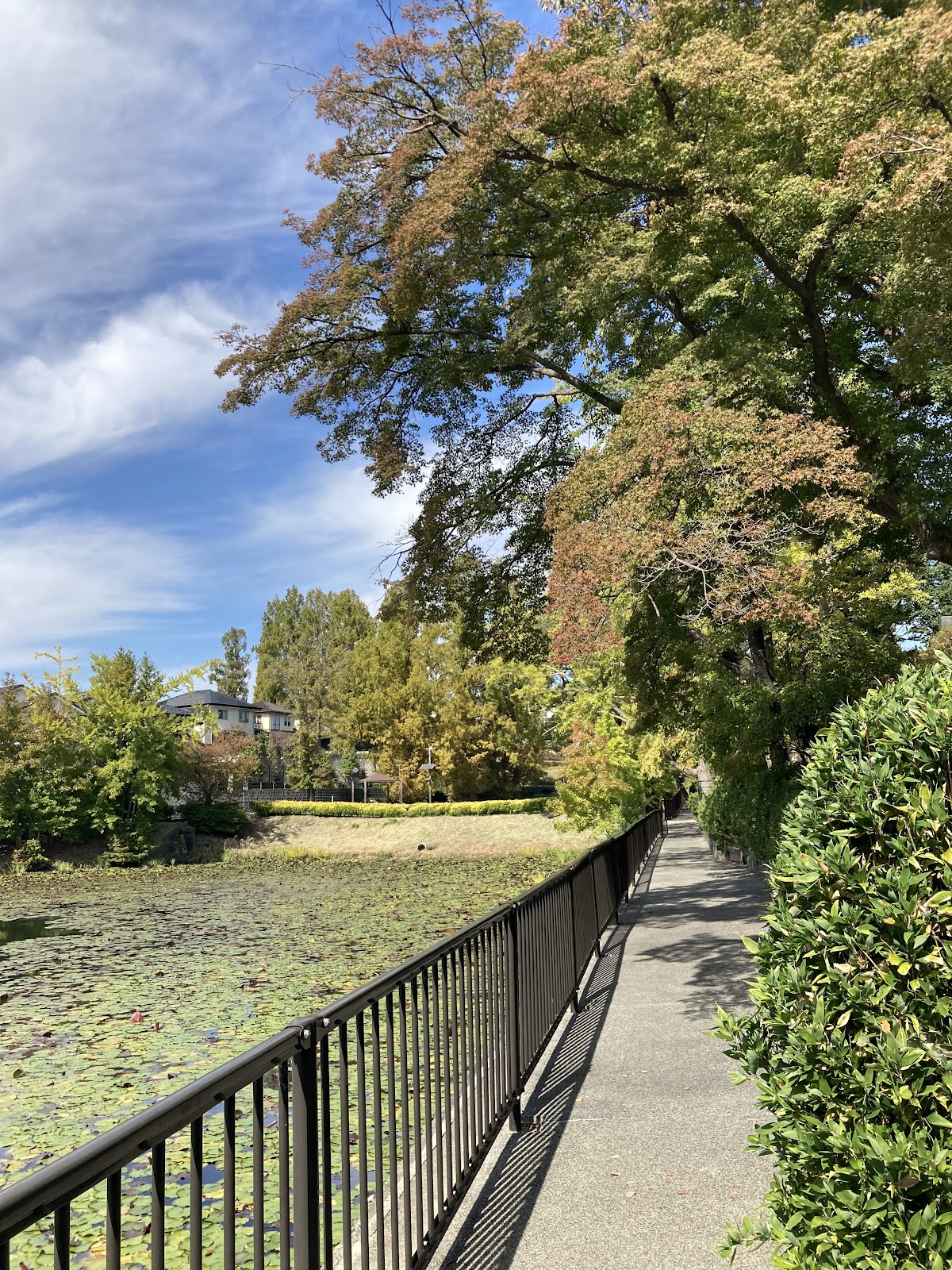 Irodorinomori Park 3