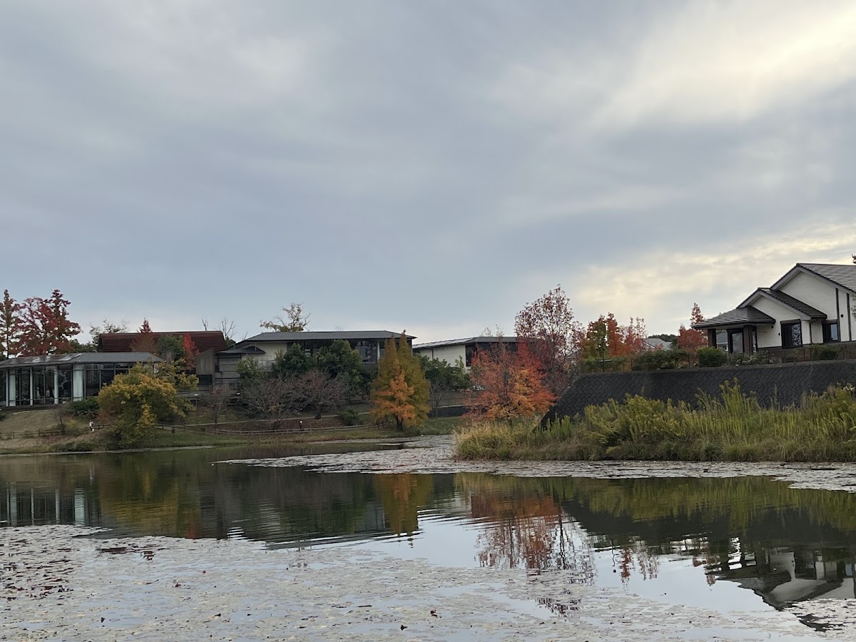 Irodorinomori Park 4