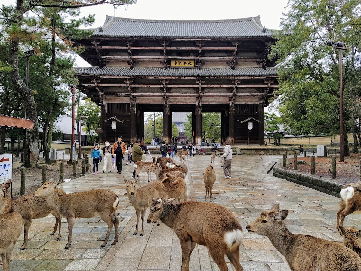 Nandaimon Gate 3