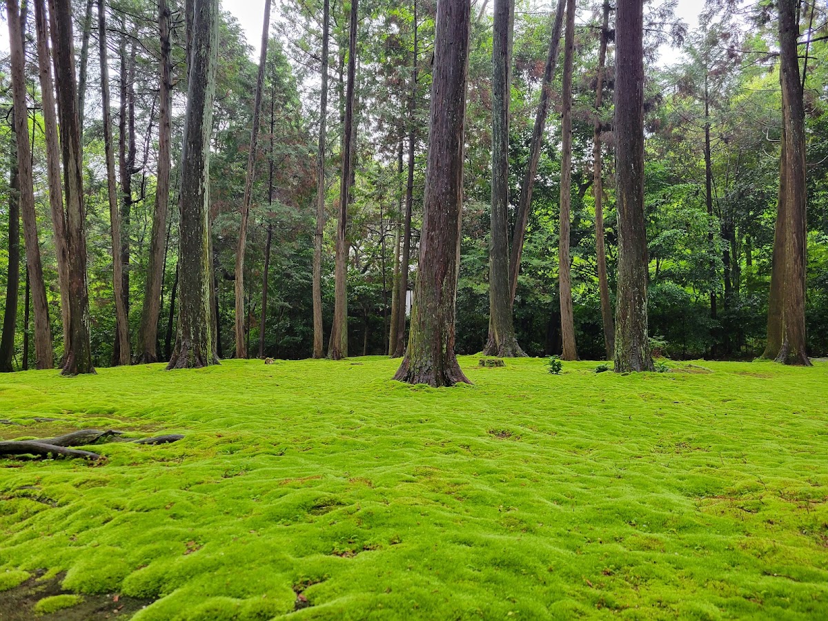 Toshodai-ji 4