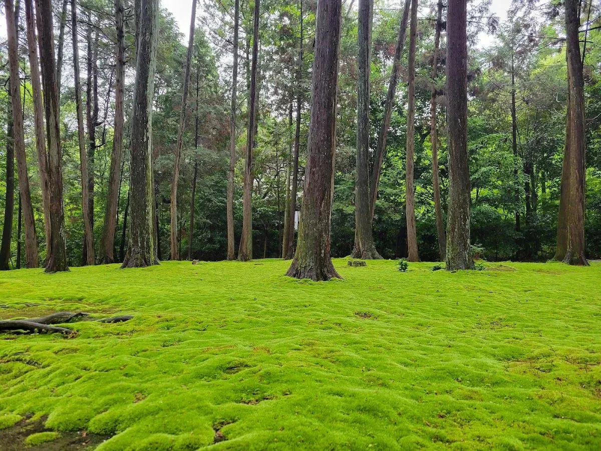Toshodai-ji 4