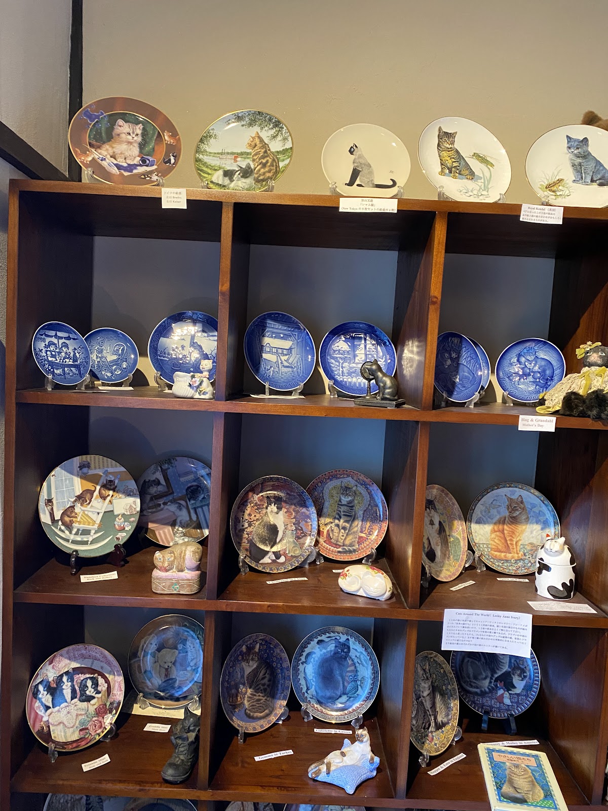 Catship Museum