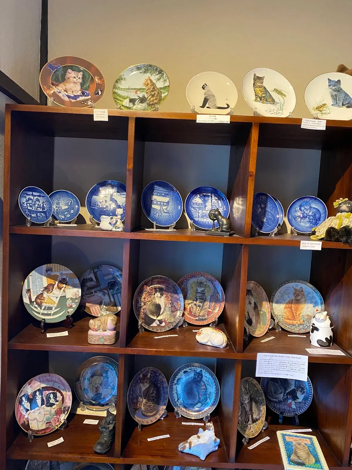 Catship Museum