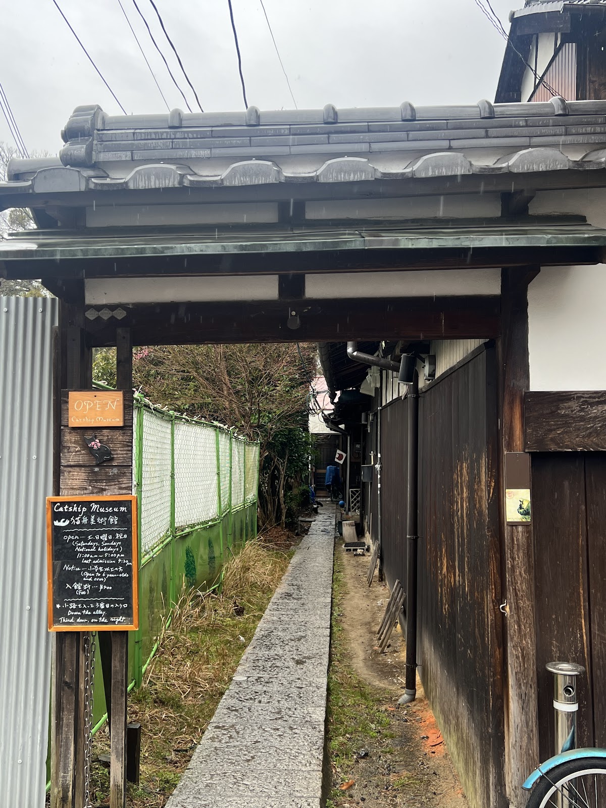 Catship Museum 3