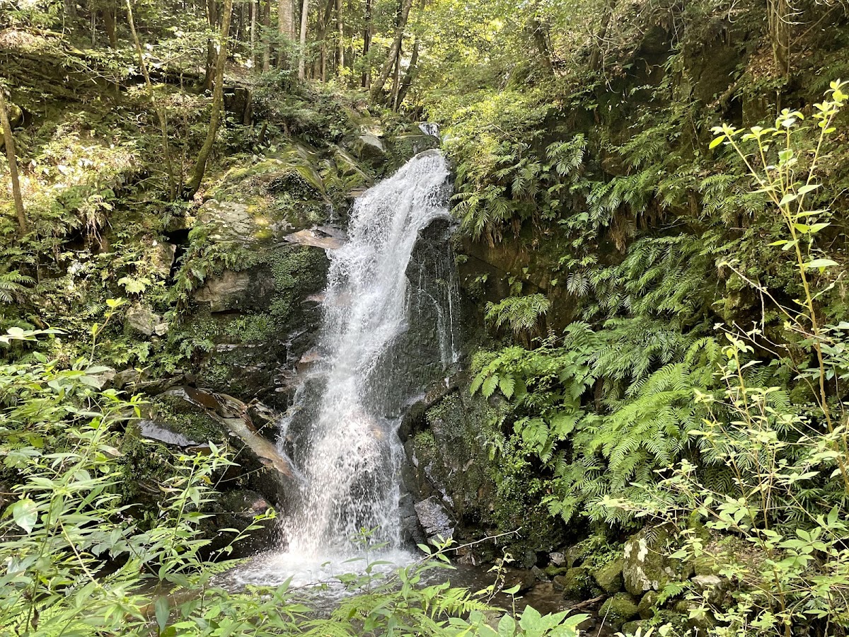 Uguisu Waterfall
