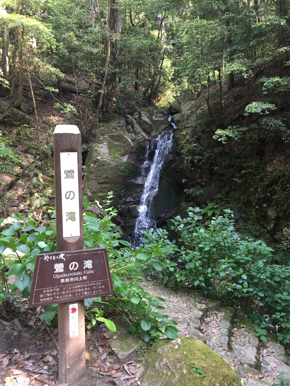 Uguisu Waterfall 2