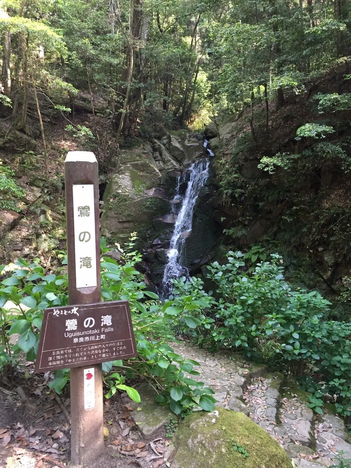 Uguisu Waterfall 2