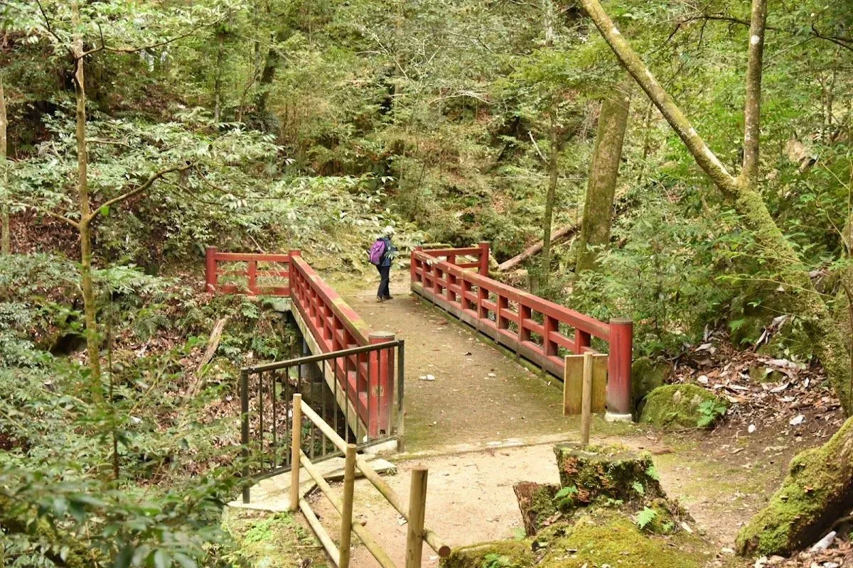 Uguisu Waterfall 4