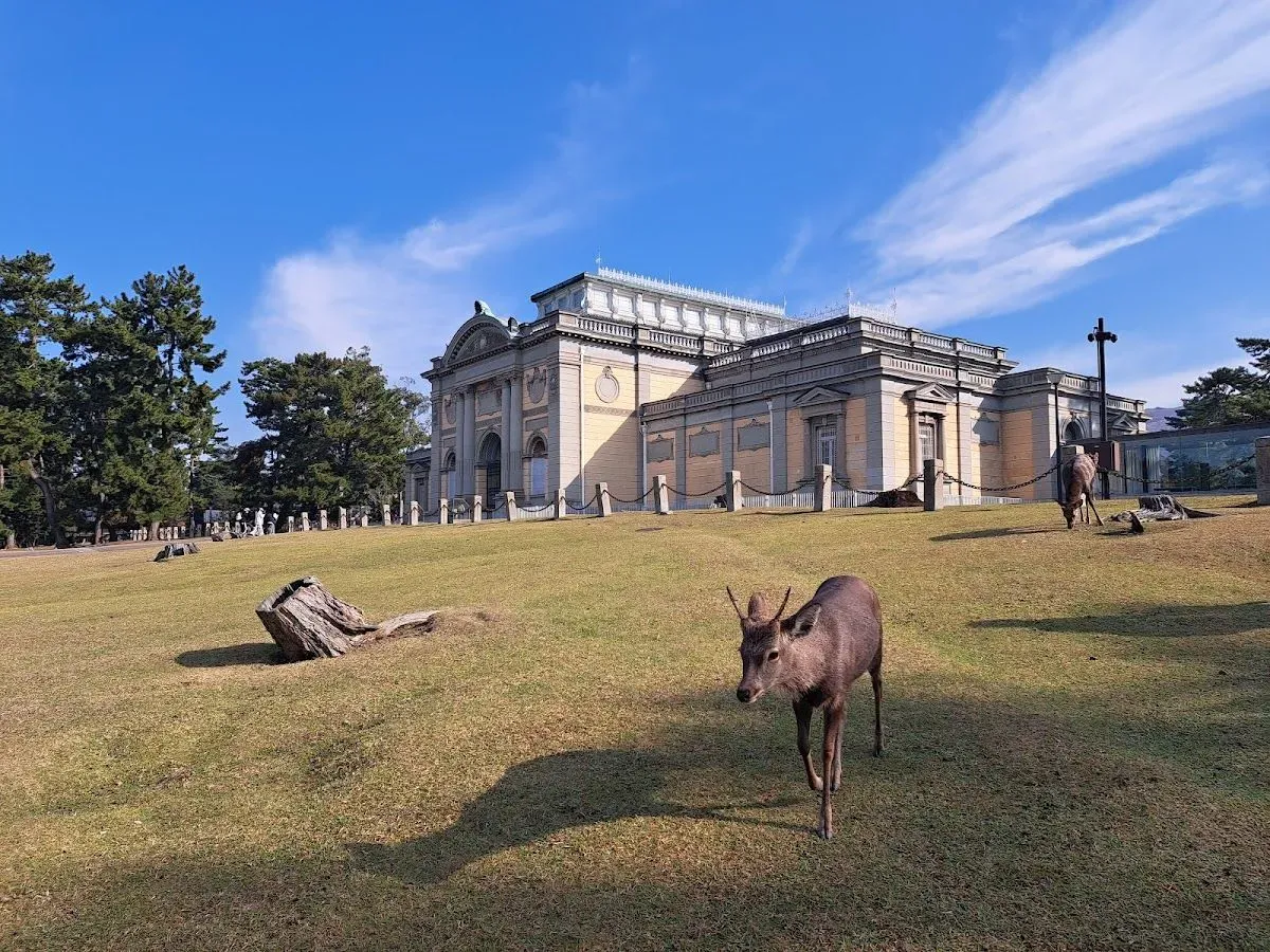 Nara National Museum Ritual Bronzes Gallery 2
