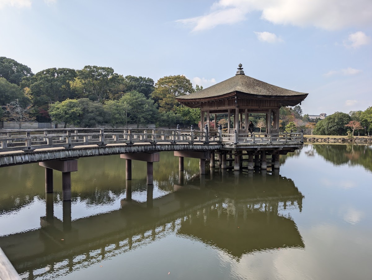 Sagi Pond