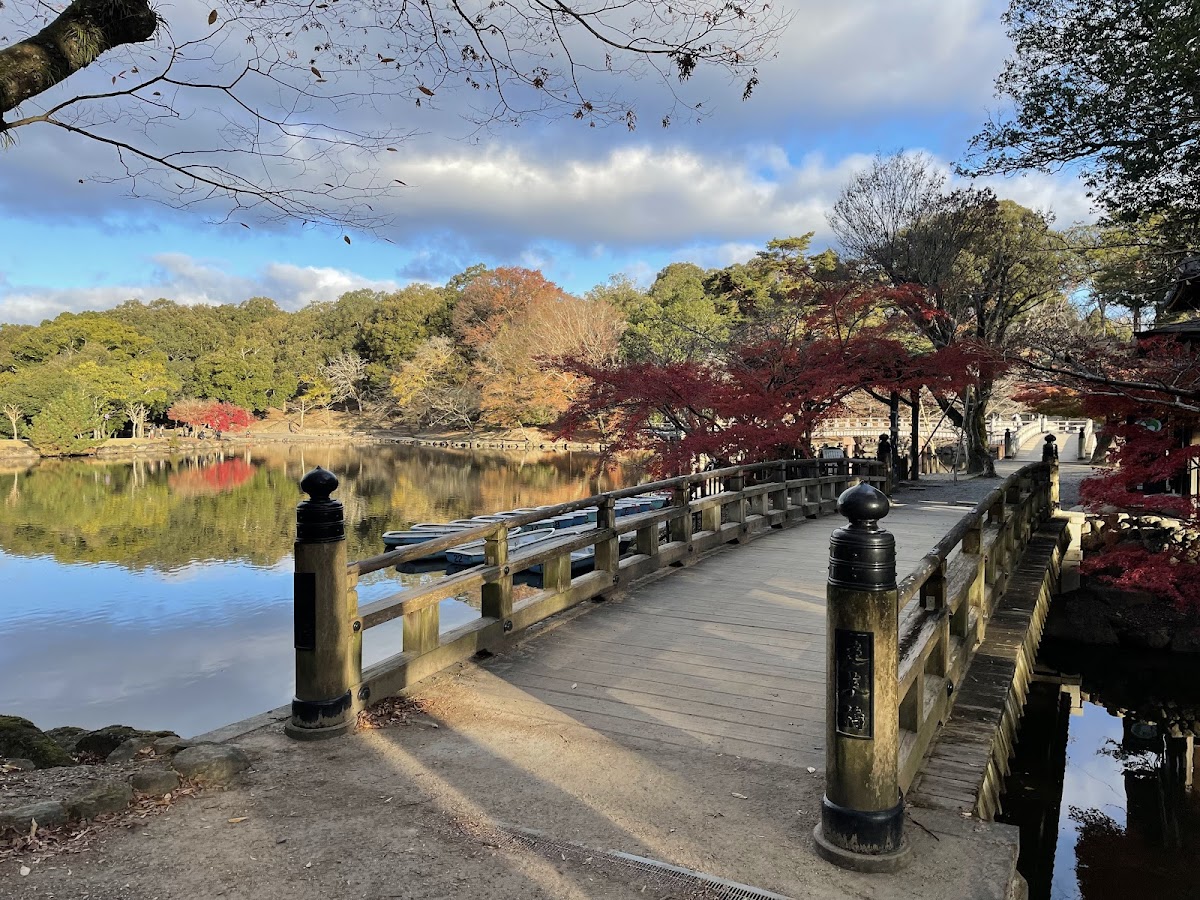 Sagi Pond 2
