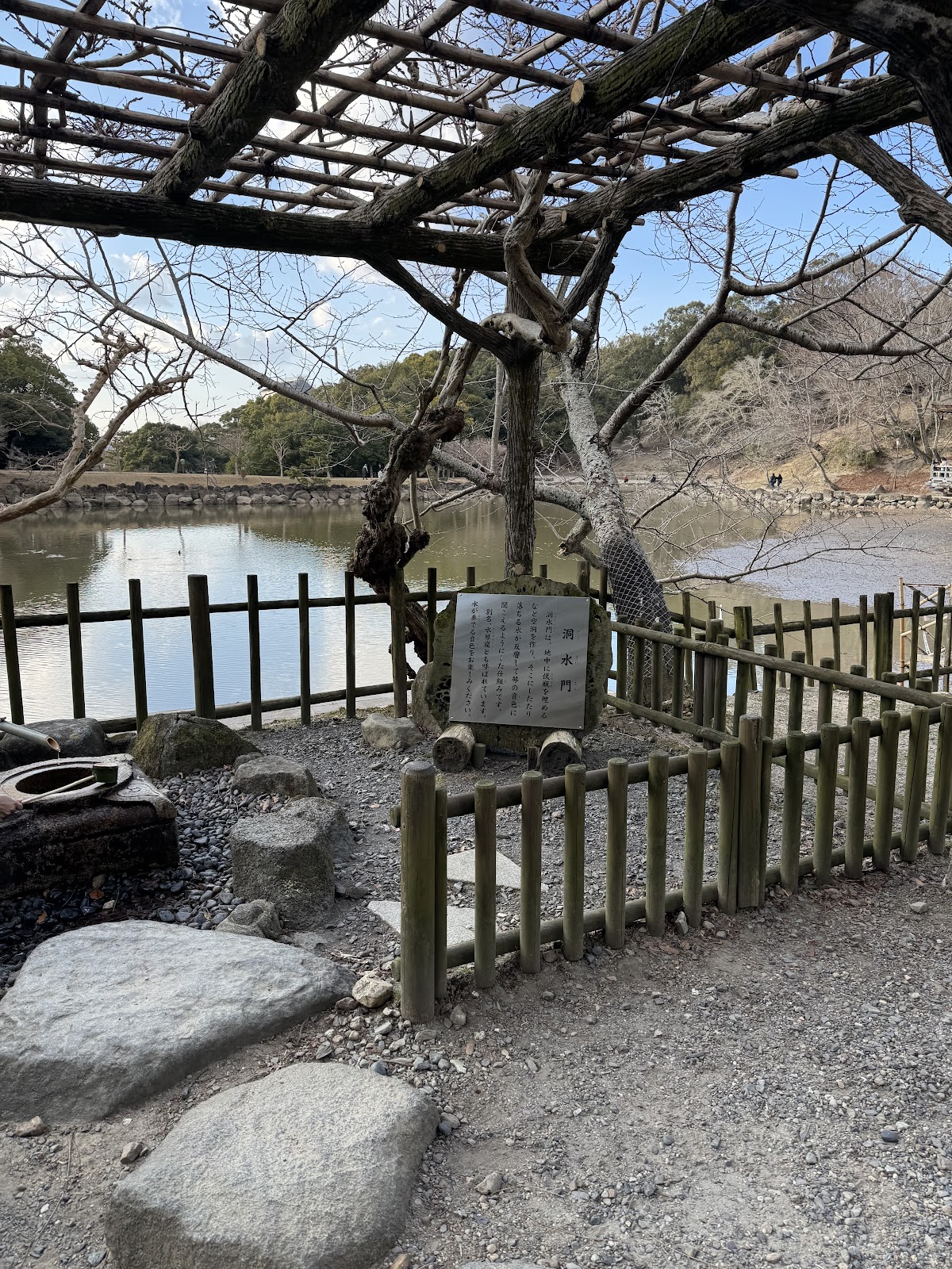 Sagi Pond 4