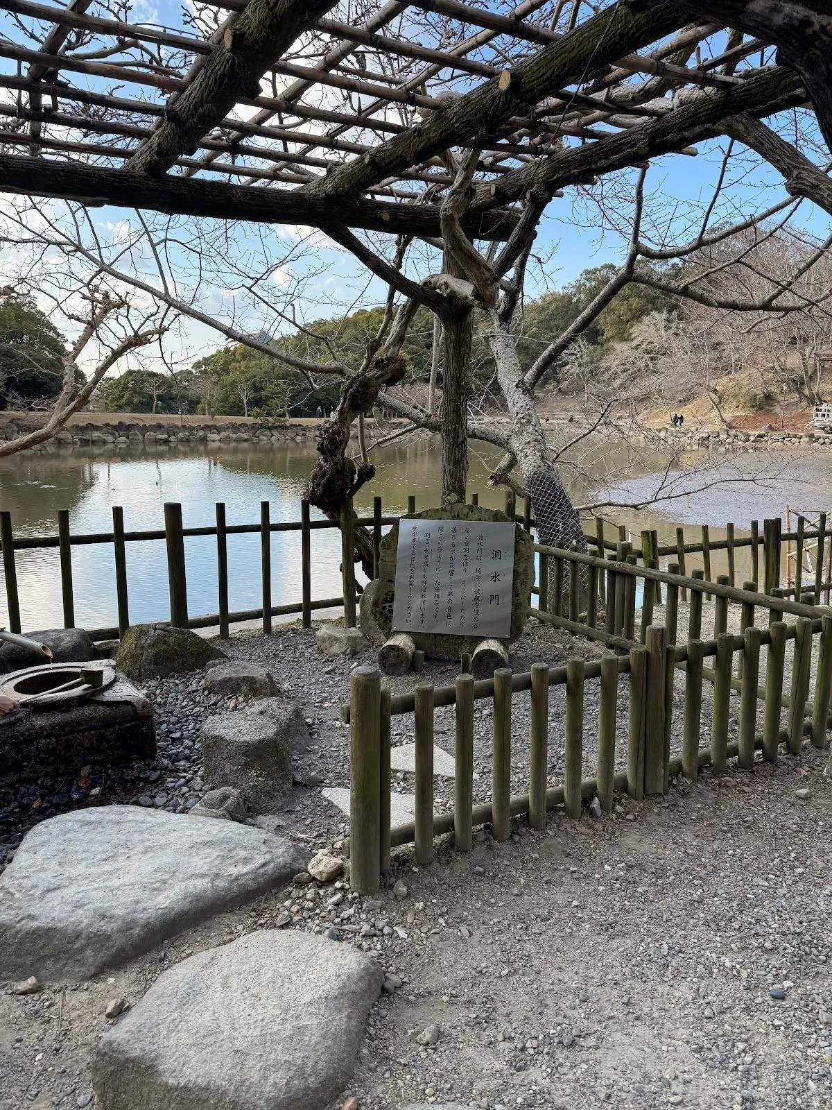 Sagi Pond 4
