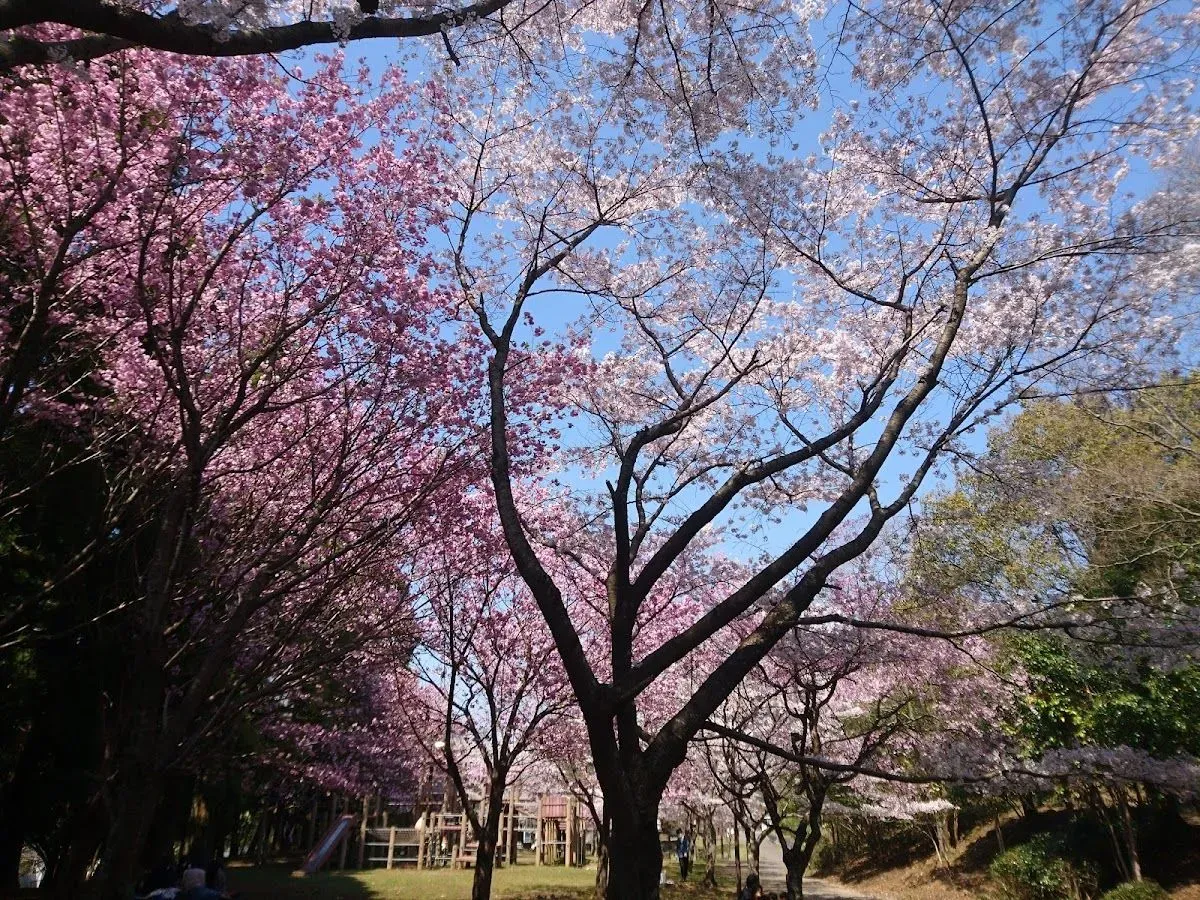 Higashiyama Ryokuchi Park 3