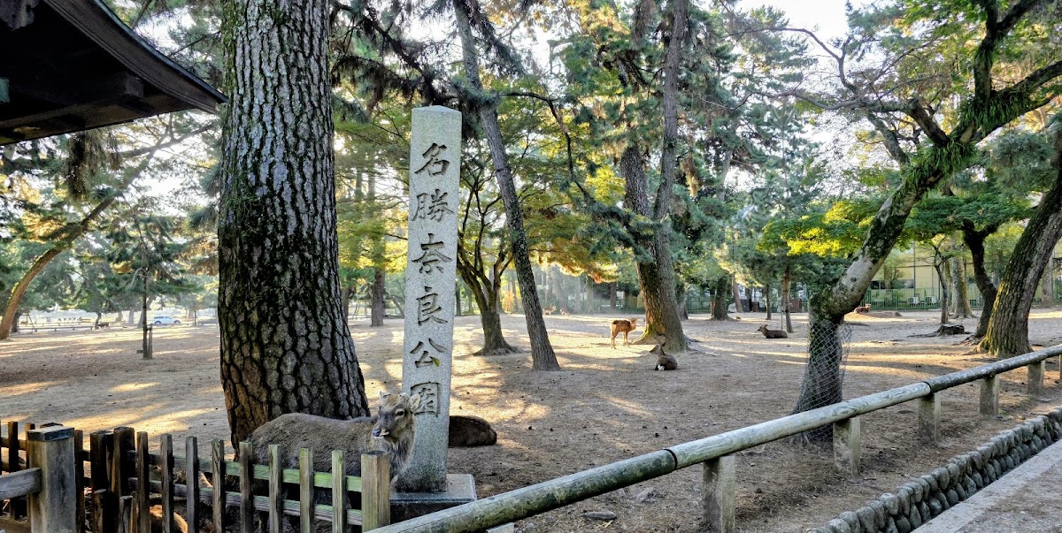 奈良公園 石碑 3