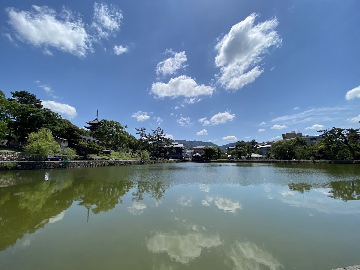 Sarusawa-Ike Pond Park 2