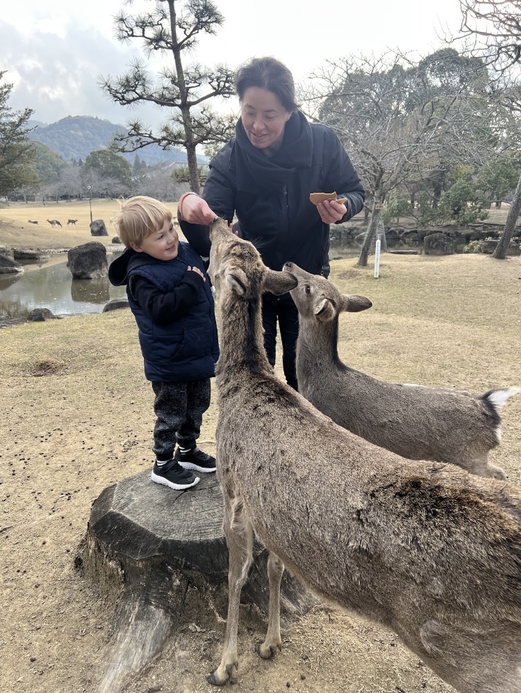 Japan Tour Adventure in Nara 2