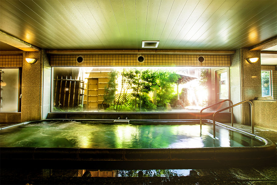Nara Park Hotel 3