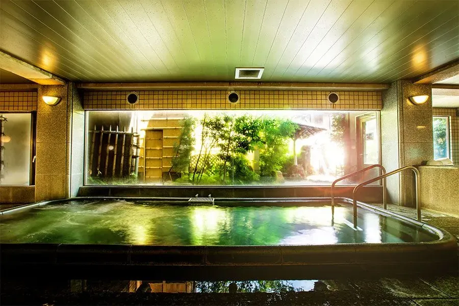 Nara Park Hotel 3