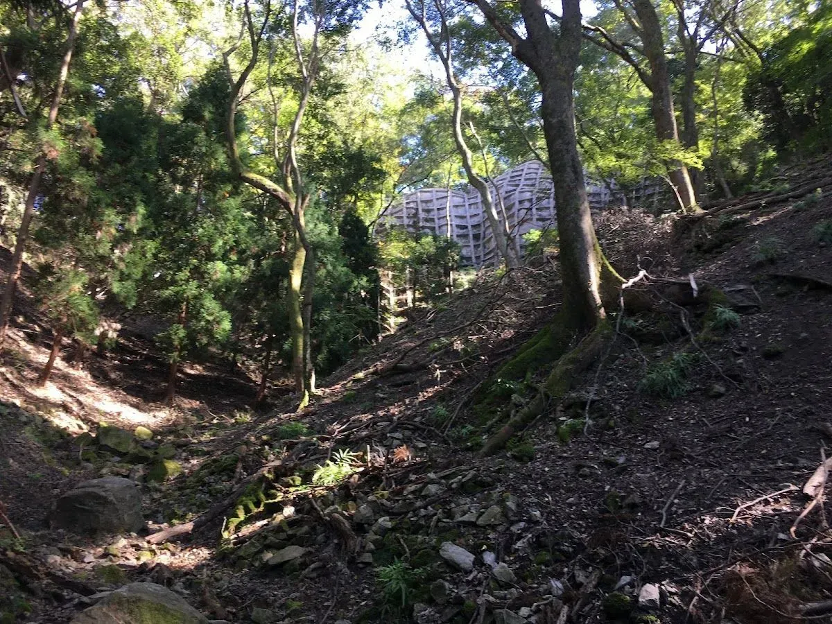 Daimonji Fire Bed 3