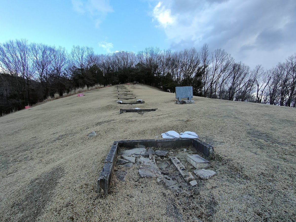 Daimonji Fire Bed 4