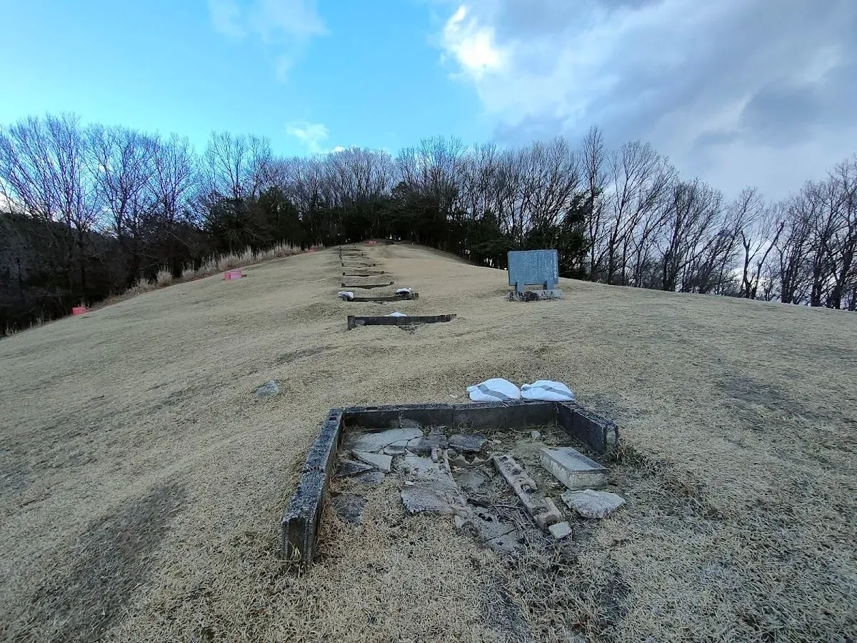 Daimonji Fire Bed 4