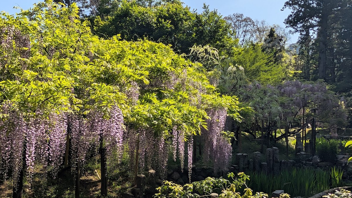 Manyo Botanical Gardens 3