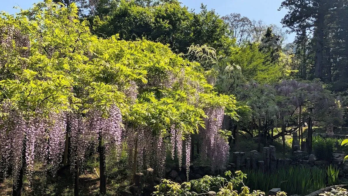Manyo Botanical Gardens 3
