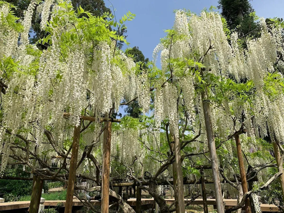 Manyo Botanical Gardens 4