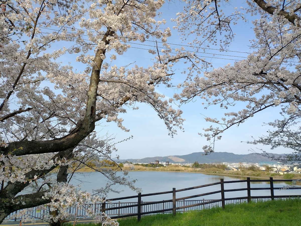 Oike 3