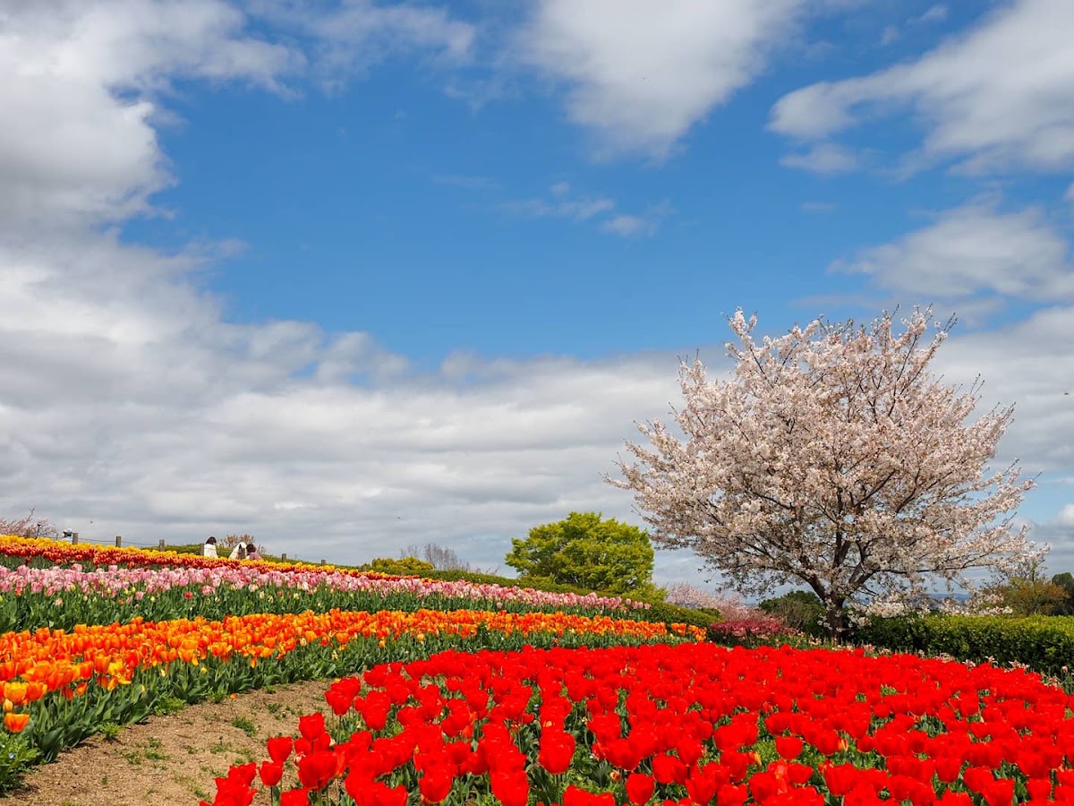 Umami-kyūryō Park 2