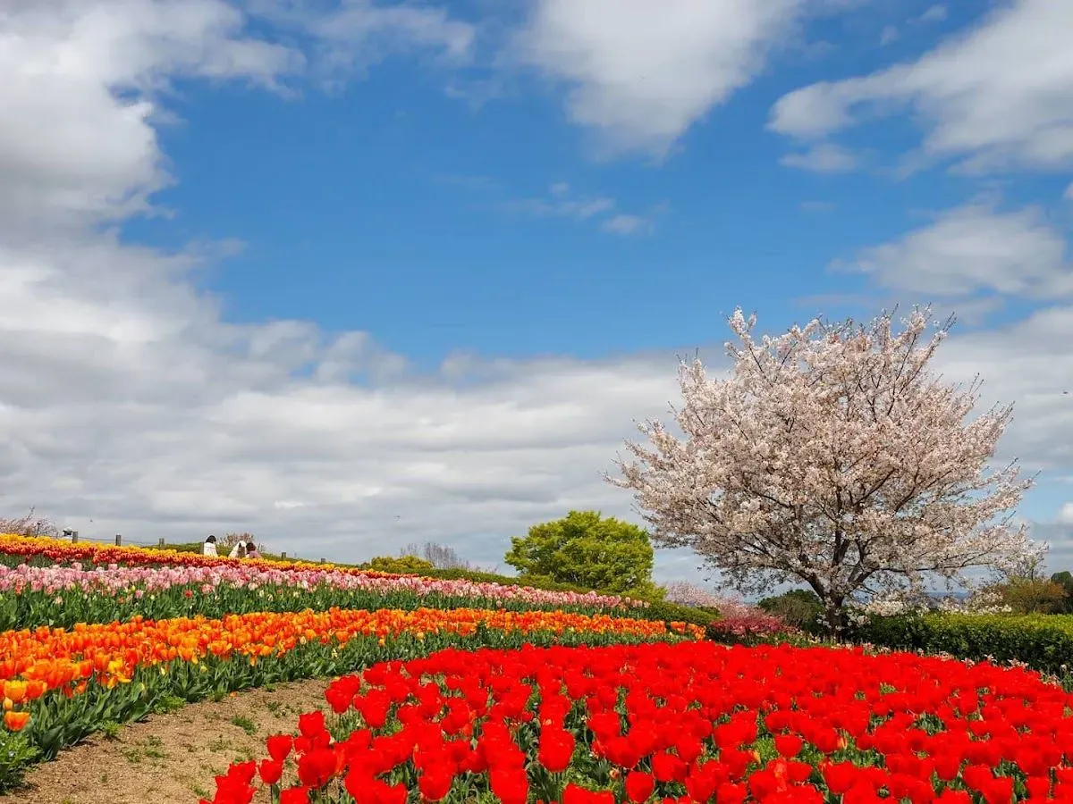 Umami-kyūryō Park 2