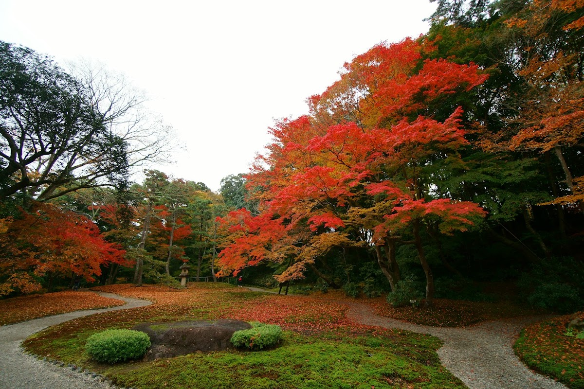Yoshikien Garden 2